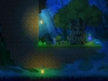 forest9-jpg